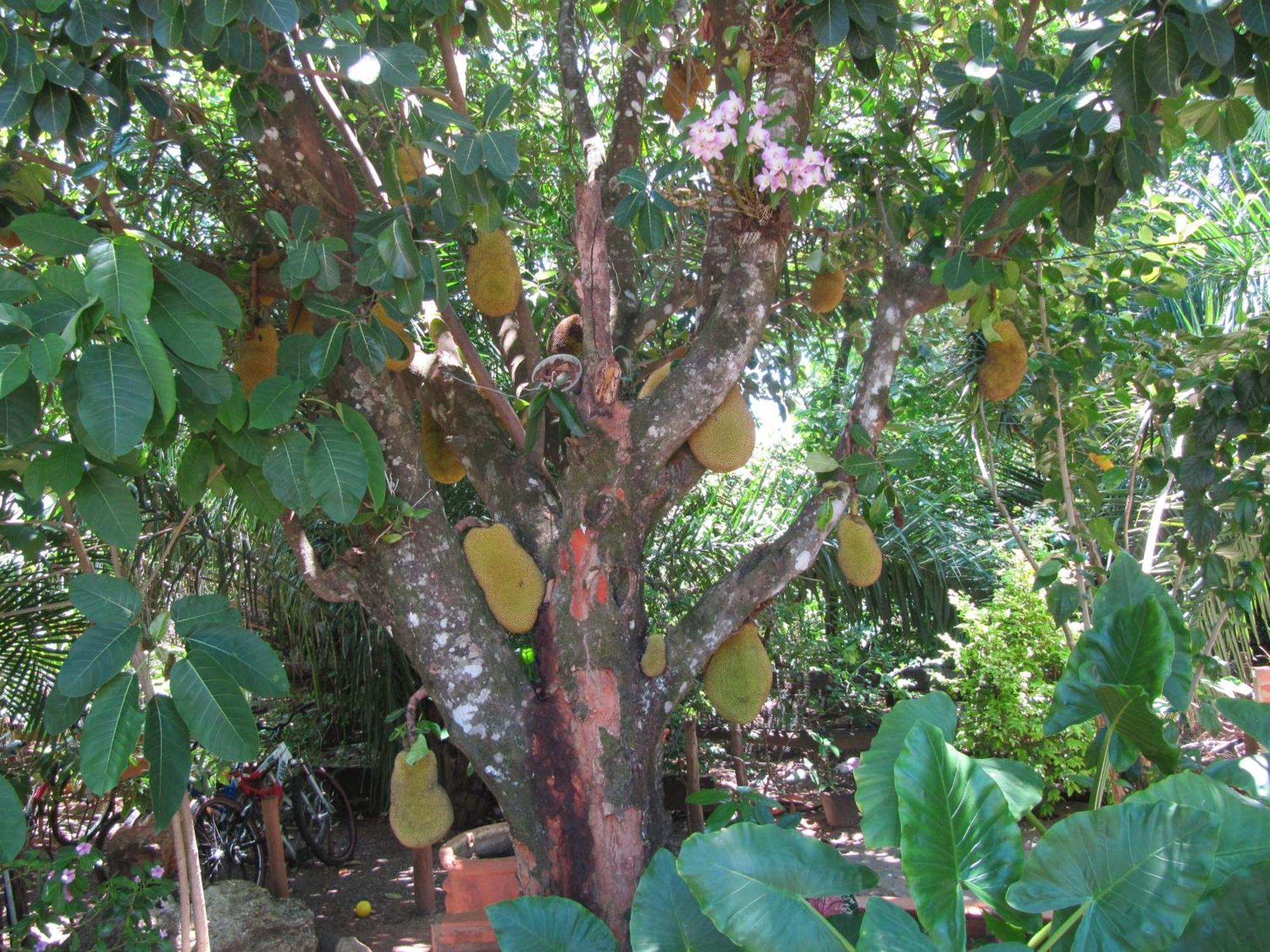 Eco Pousada Villa Verde Bonito  Εξωτερικό φωτογραφία